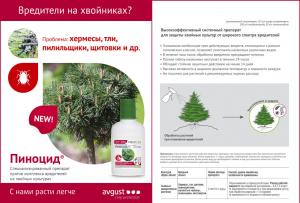 Пиноцид СК (Август), 10 мл - картинка 2